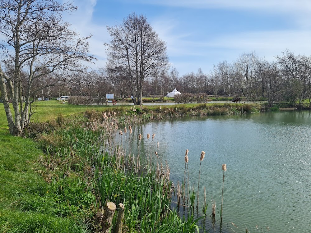 Summer Junior Fishing Coaching at Burton Spring
