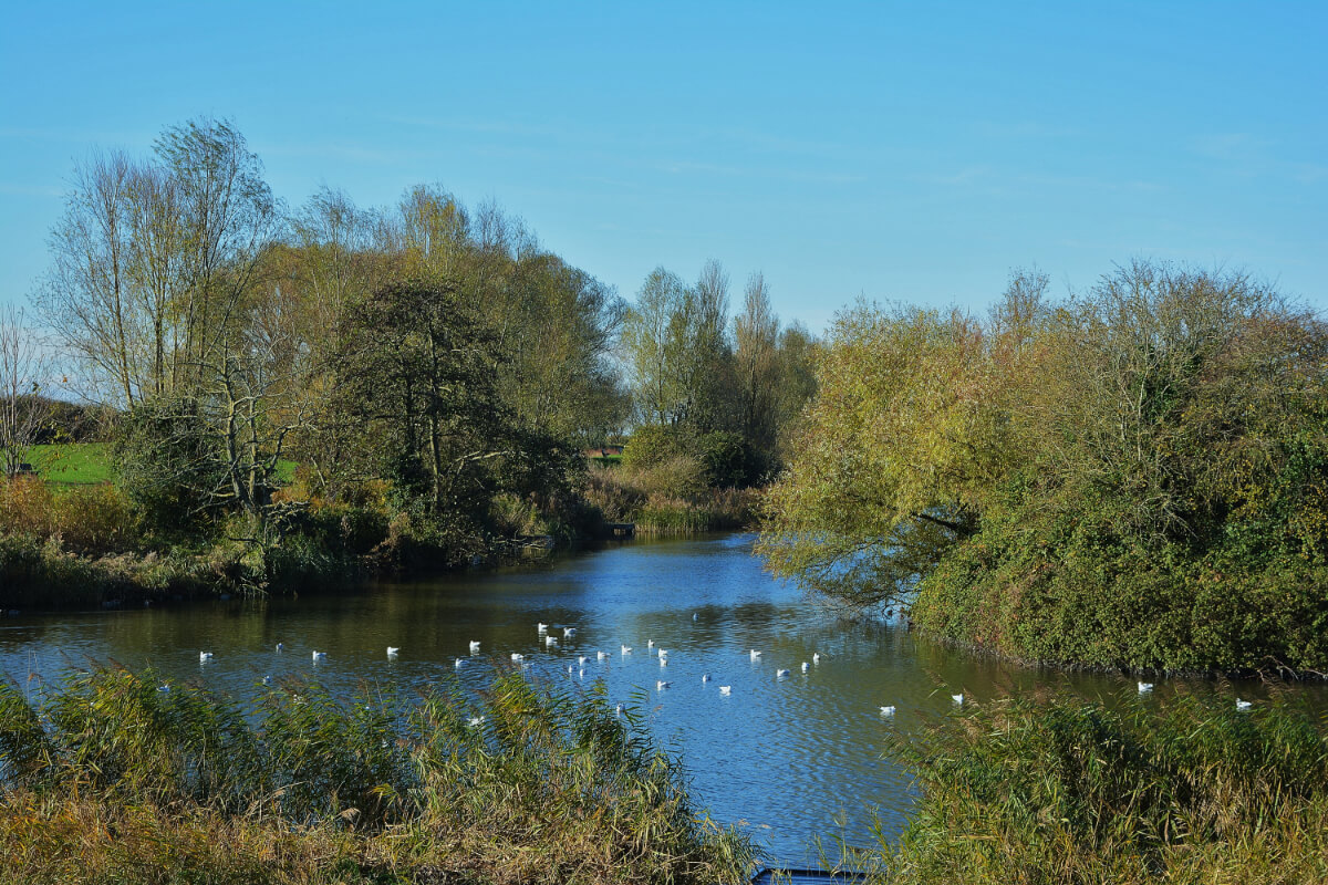 Apex Park featured image