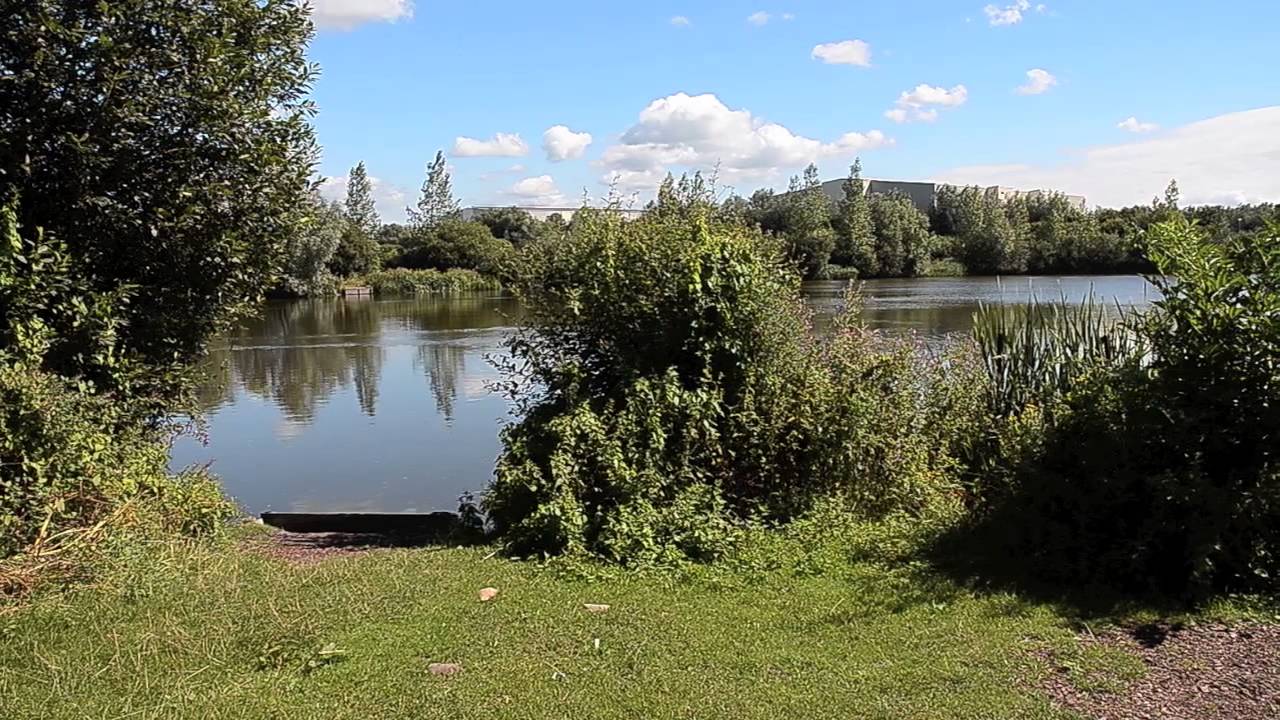Walrow Lakes featured image