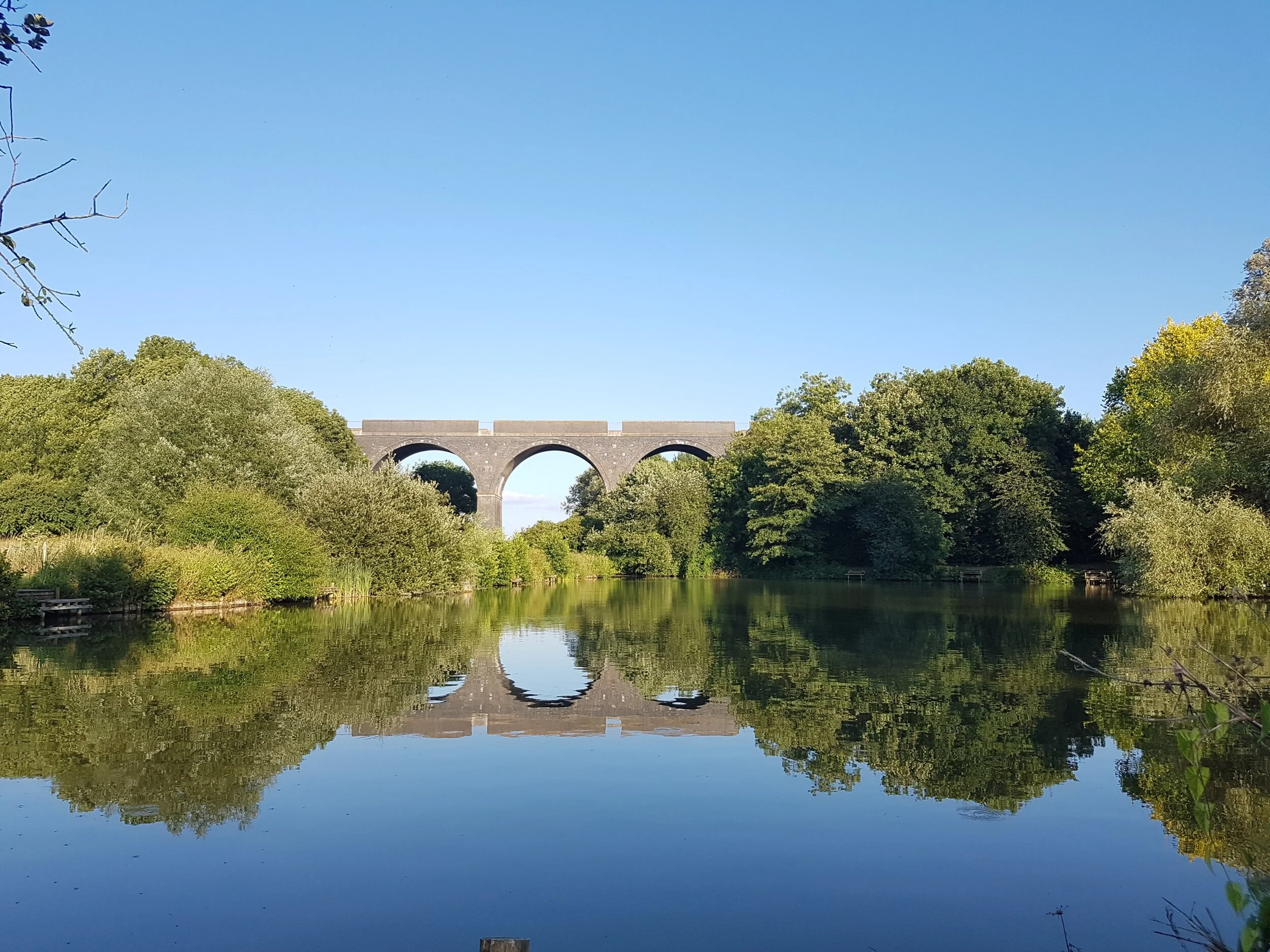 Viaduct Fisheries featured image