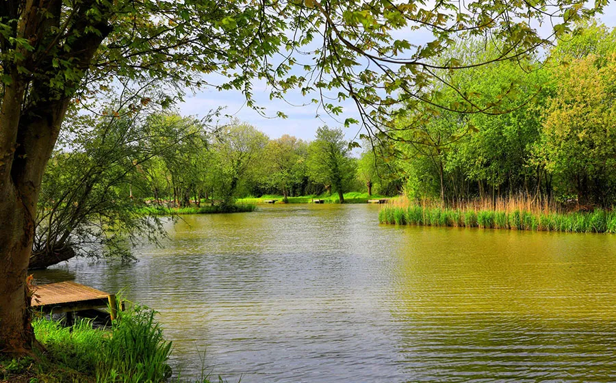 Junior Fishing Coaching at Avalon Fisheries, Somerset