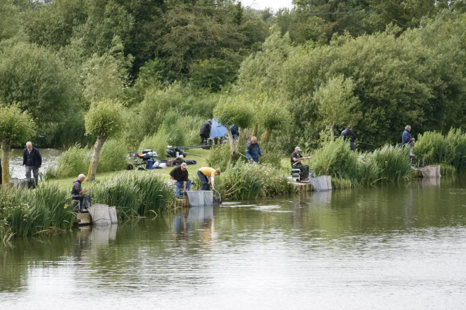 The Sedges featured image