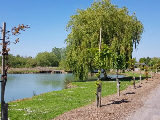 Summerhayes Fisheries featured image
